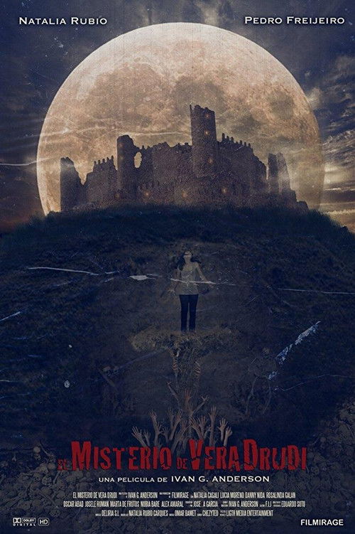 El misterio de Vera Drudi (2013) poster