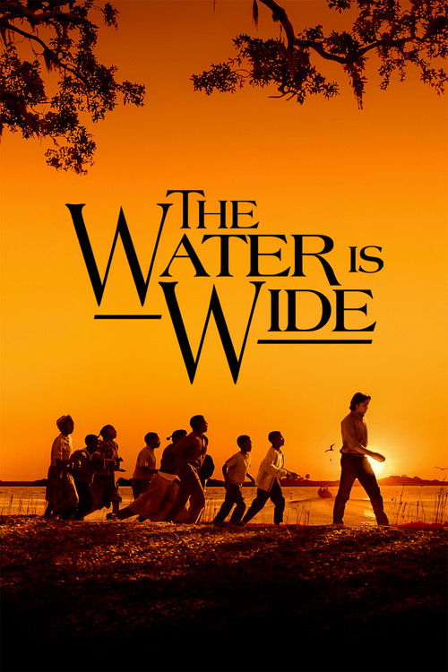 The Water Is Wide (2006) poster