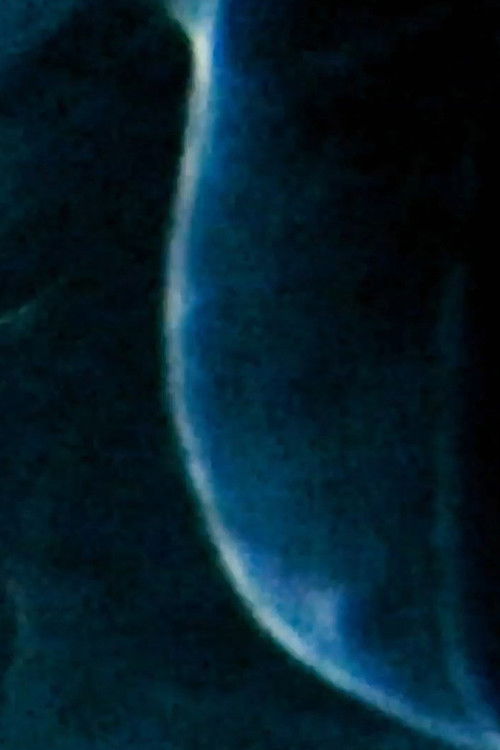 Containers of Masses (2021) poster