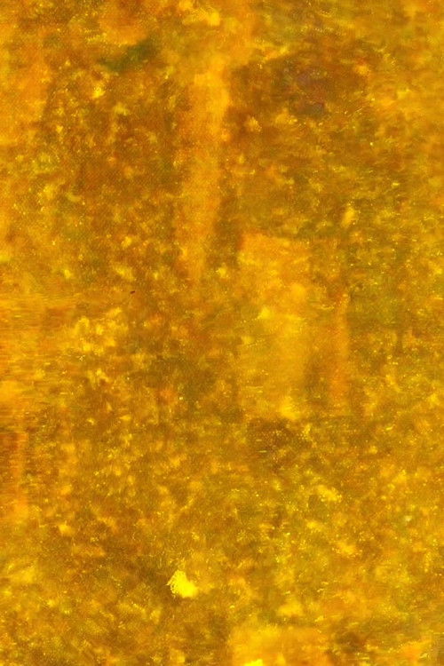 Or / Or (Hawick) (2018) poster