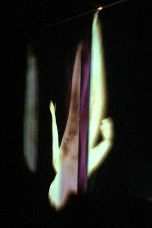 Light-Bodies (2010) poster