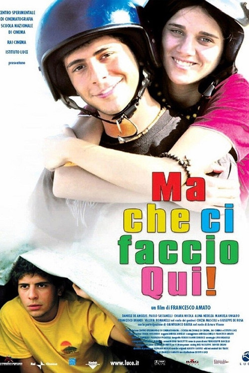 Ma che ci faccio qui! (2006) poster