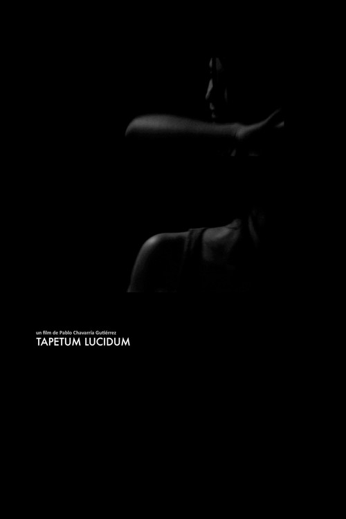 Tapetum Lucidum (2013) poster
