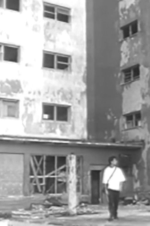 Light Valve (1997) poster