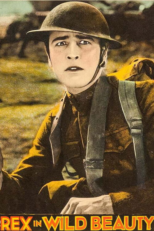 Wild Beauty (1927) poster
