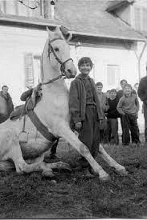 The Time of Horses (1972) poster