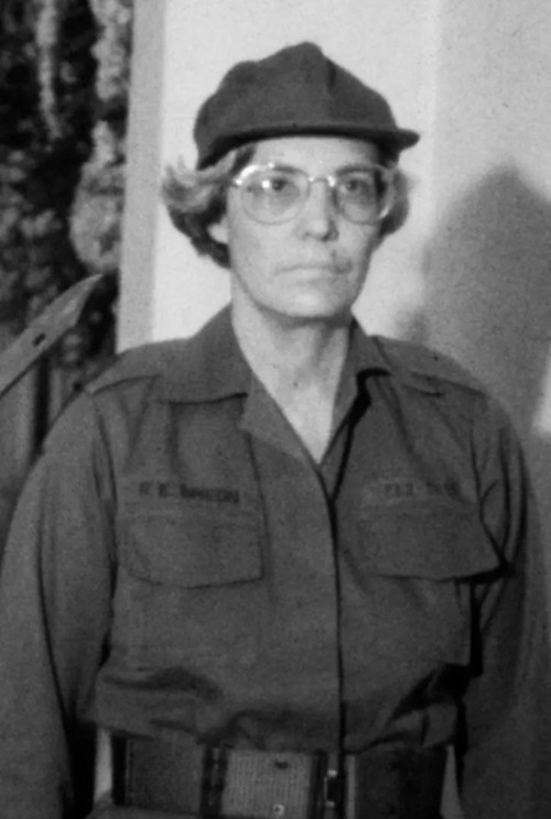 Dark Forest (2024) poster