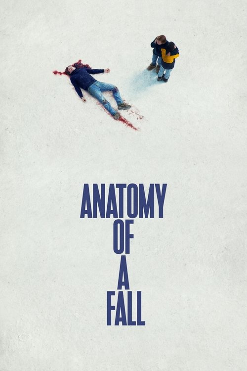 Bir Düşüşün Anatomisi (2023) poster