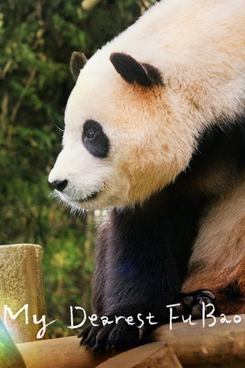 안녕, 할부지 (2024) poster