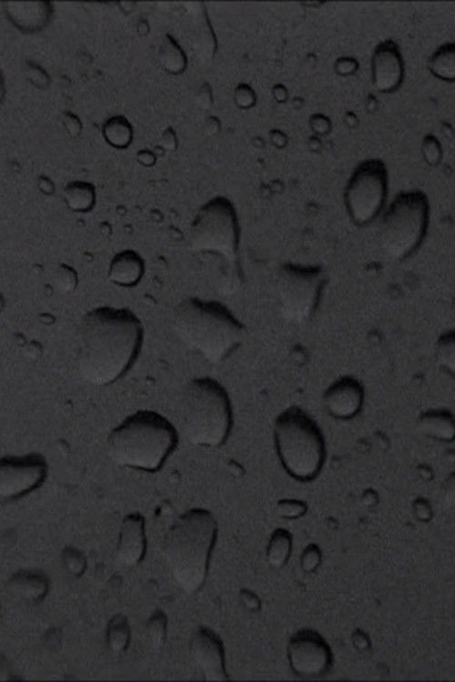 Transformation (2018) poster