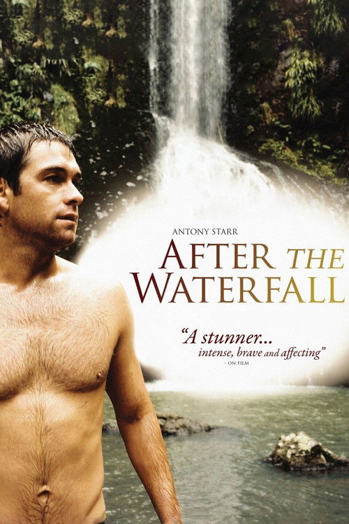After the Waterfall (2010) poster