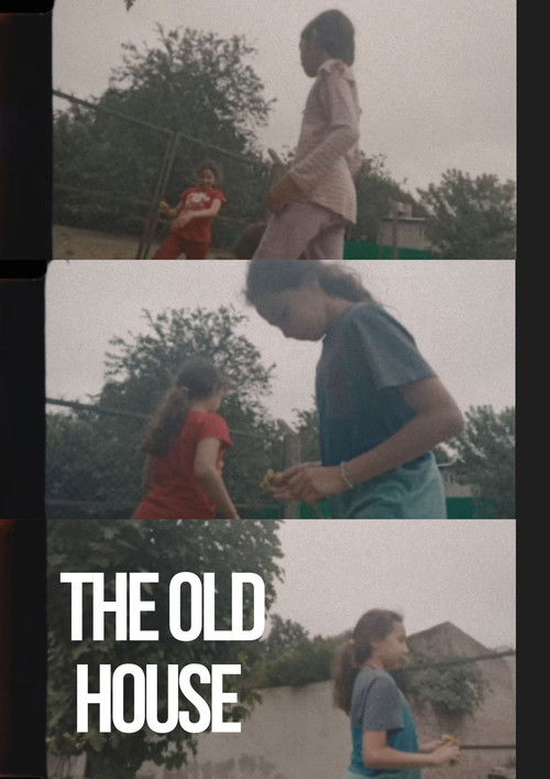 The Old House (2024) poster