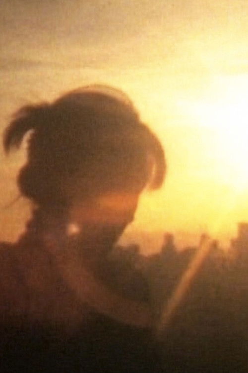 Chic 29/29 (2003) poster