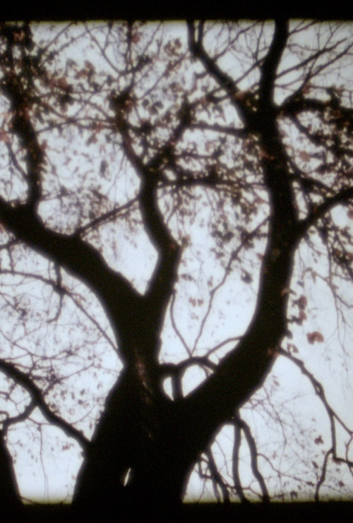 We Deh Here (2025) poster