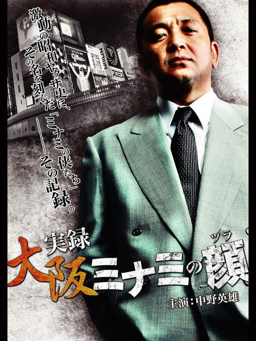 The Face of Minami (2010) poster