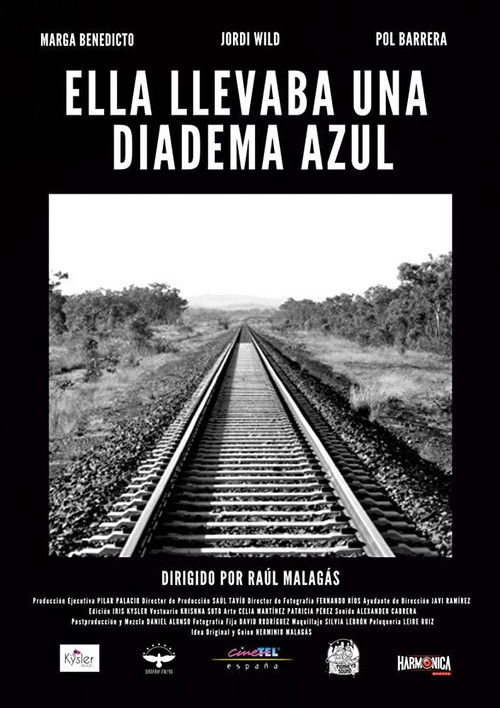 She Was Wearing a Blue Diadem (2019) poster