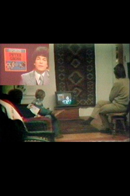 Local TV News Analysis (1980) poster