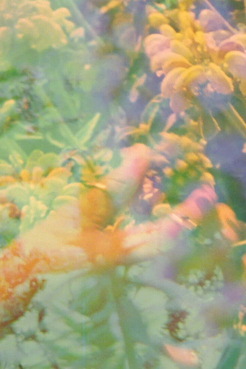 Pavilion (2025) poster