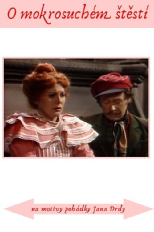 Pohádka o mokrosuchém štěstí (1982) poster