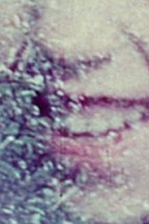 Film Notebook: Part 1 (For Saul) (1975) poster