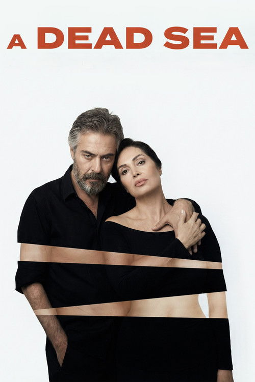 Ölü Bir Deniz (1989) poster
