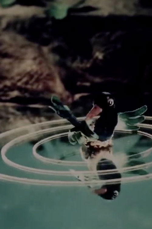 A Child Already Knows (2024) poster