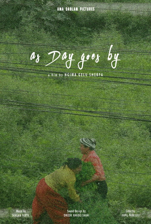 As Day Goes By (2024) poster