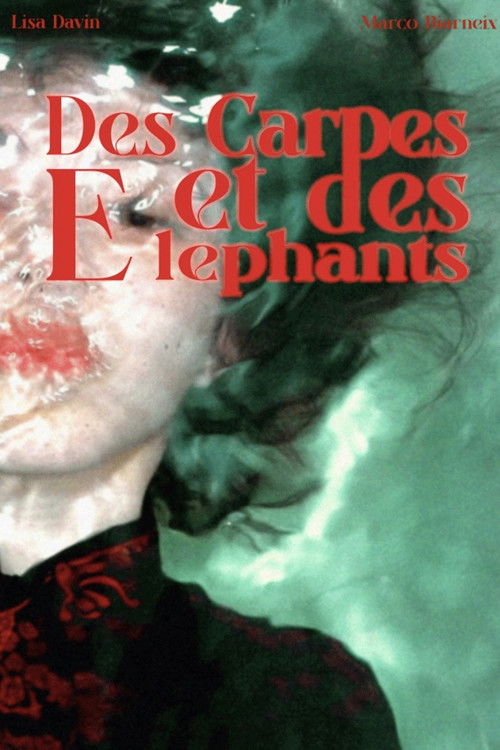 Des Carpes et des Éléphants (2024) poster