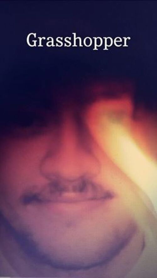 Grasshopper (2013) poster