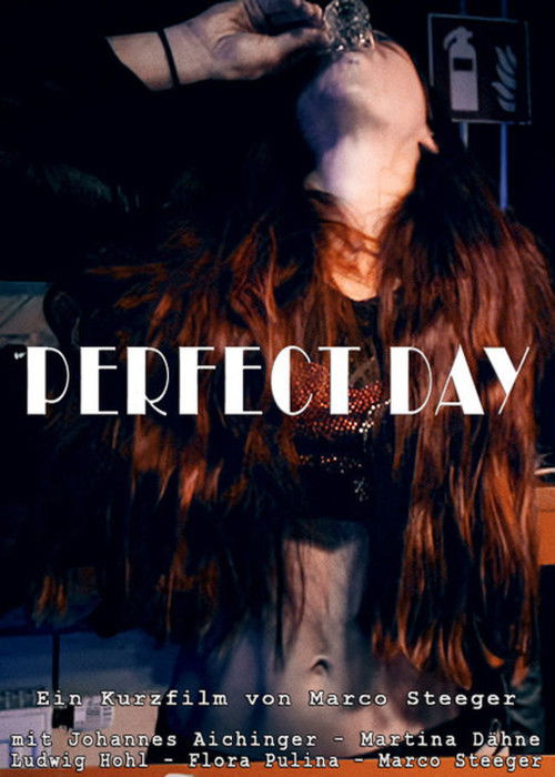 Perfect Day (2021) poster