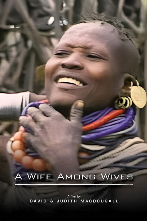 A Wife Among Wives (1981) poster