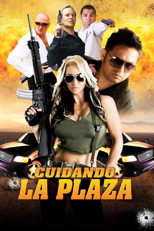 Cuidando la plaza (2016) poster