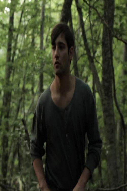 Ο θόλος (2012) poster