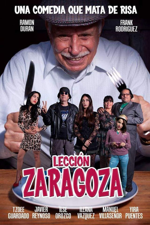 Zaragoza's Lesson (2014) poster