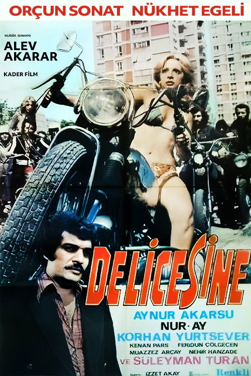 Delicesine (1975) poster