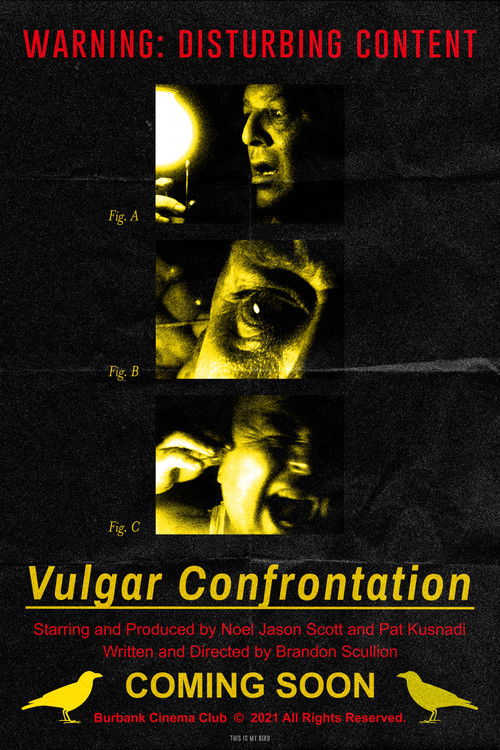 Vulgar Confrontation (2021) poster