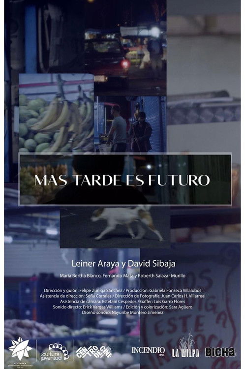 Más tarde es futuro (2021) poster