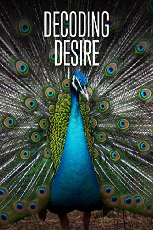 Decoding Desire (2014) poster
