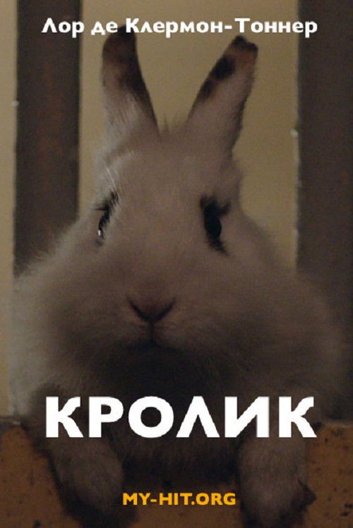 Rabbit (2014) poster