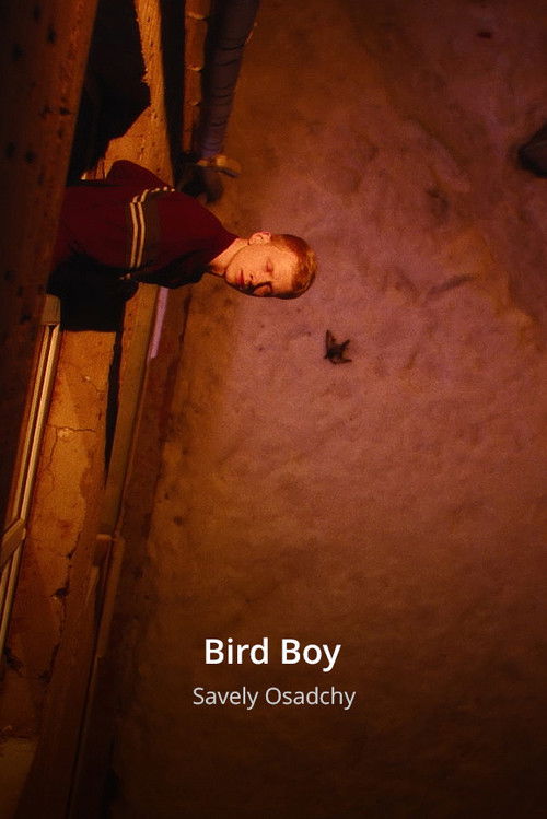 Bird Boy (2025) poster