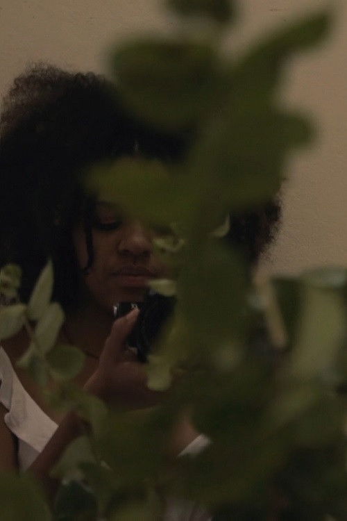 Headwaters (2020) poster