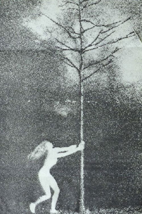 The Phallic Forest (1970) poster