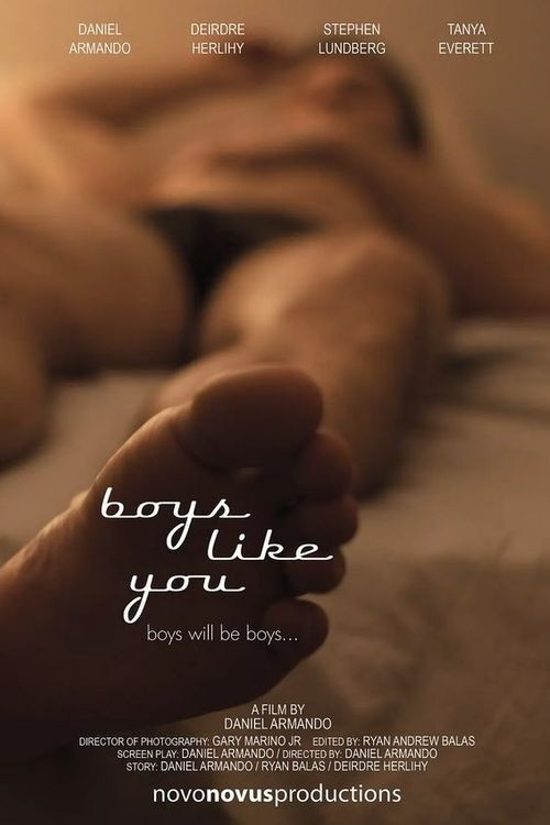 Boys Like You (2011) poster