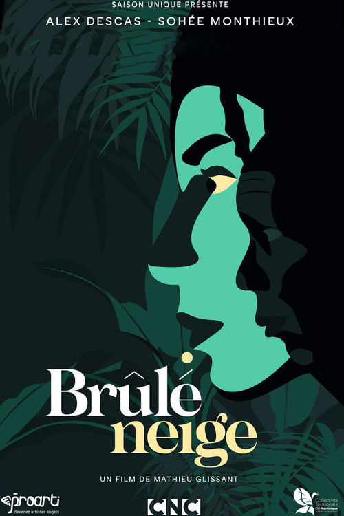 Brûlé neige (2022) poster