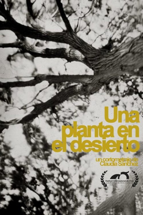 A plant in the desert (2021) poster