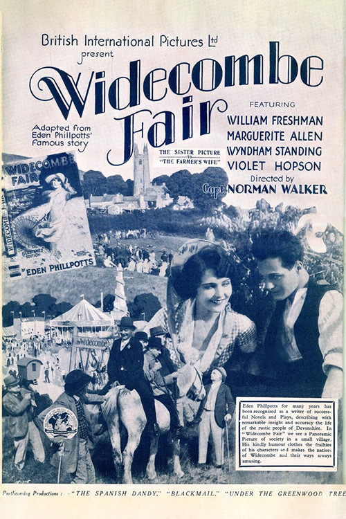 Widecombe Fair (1928) poster