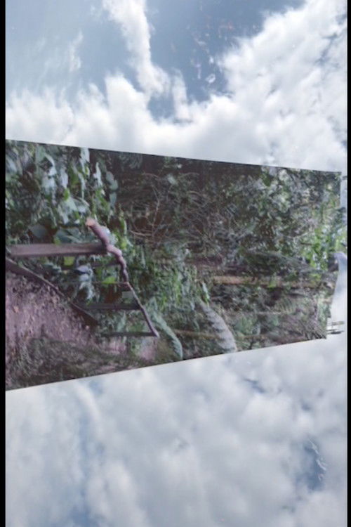 AFLUENCIA (2021) poster