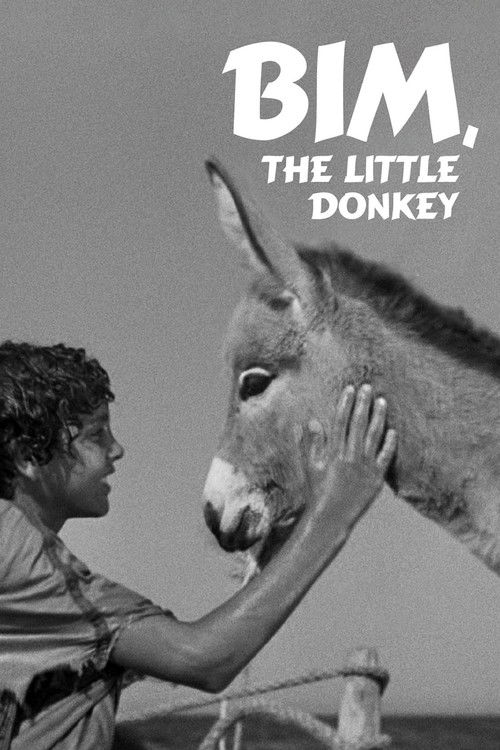 Bim, the Little Donkey (1951) poster