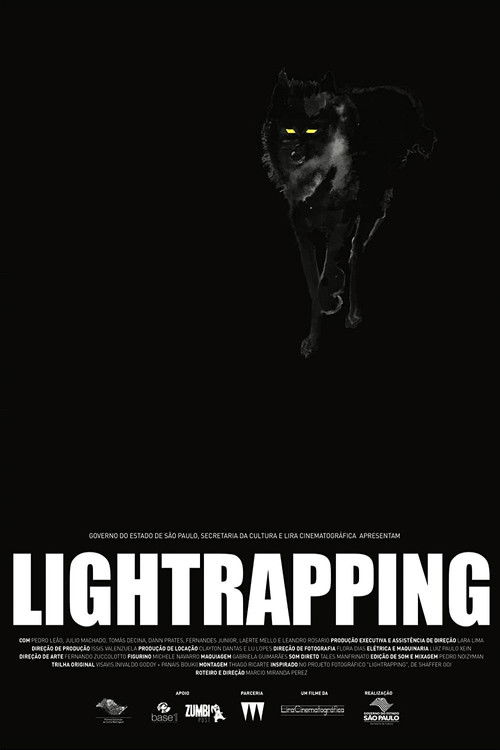 Lightrapping (2016) poster