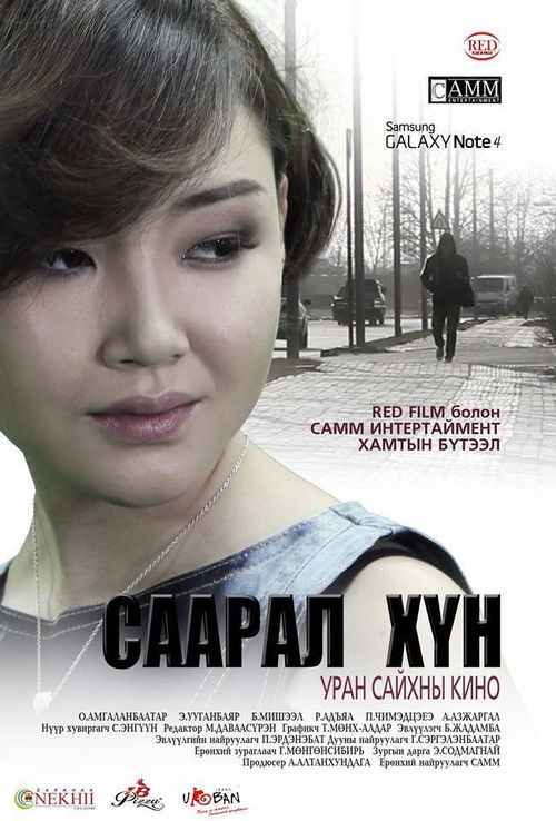 The Gray Man (2014) poster